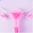 Uterine & Fallopian Tube Issues